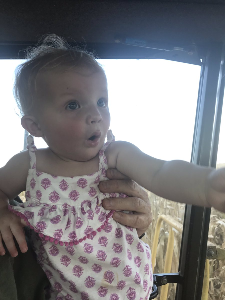 That face you make when the Beck’s numbers come across the monitor!
<a href="/BecksHybrids/">Beck's Hybrids</a>