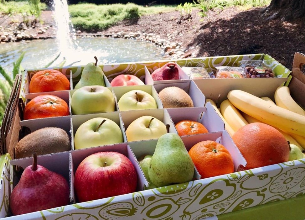 BranchToBox's tweet image. when the light hits you just right! #freshfruit #healthy #officefruitdelivery #wellness