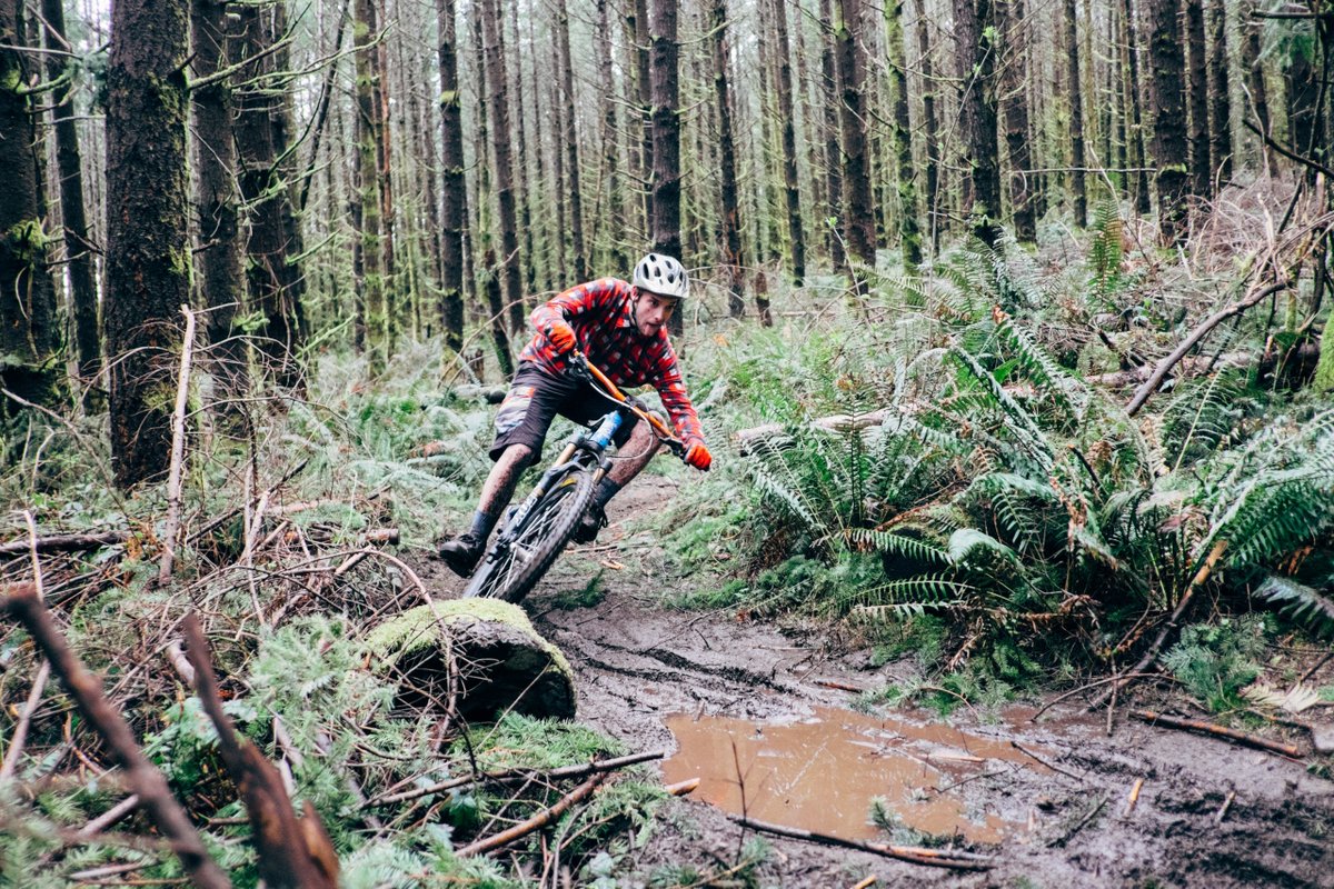 GuidedExp's tweet image. Guide people through a woodsy adventure! What idea can you dream up to guide people through and place on our platform to sell? Make money doing what you love! Keep thinking launch coming soon! #mountainbike #adventure #woods #tourism #tourguide #Seattle