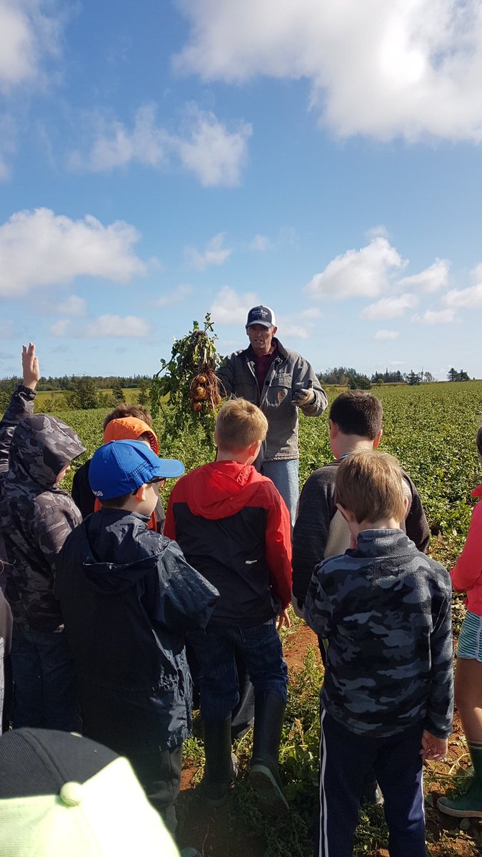 Great day of learning. #aitcpei. Grade 3 tour. #bluebayfarm perfect ambassadors for #peiag. #agawareness #dairyyouth ⁦@PEIPotatoes⁩ #planforfuture