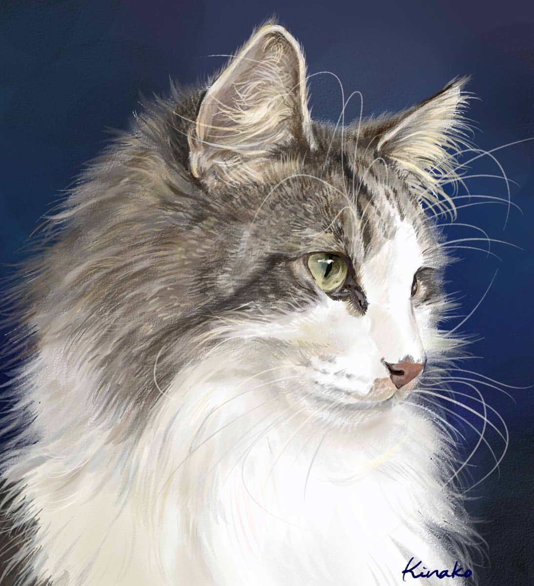 きなこ 猫の絵を描いています 昨年 描いた 美しい猫ちゃんたち 猫絵 Cat Drawing 猫イラスト 猫画 ノルウエージャンフォレストキャット