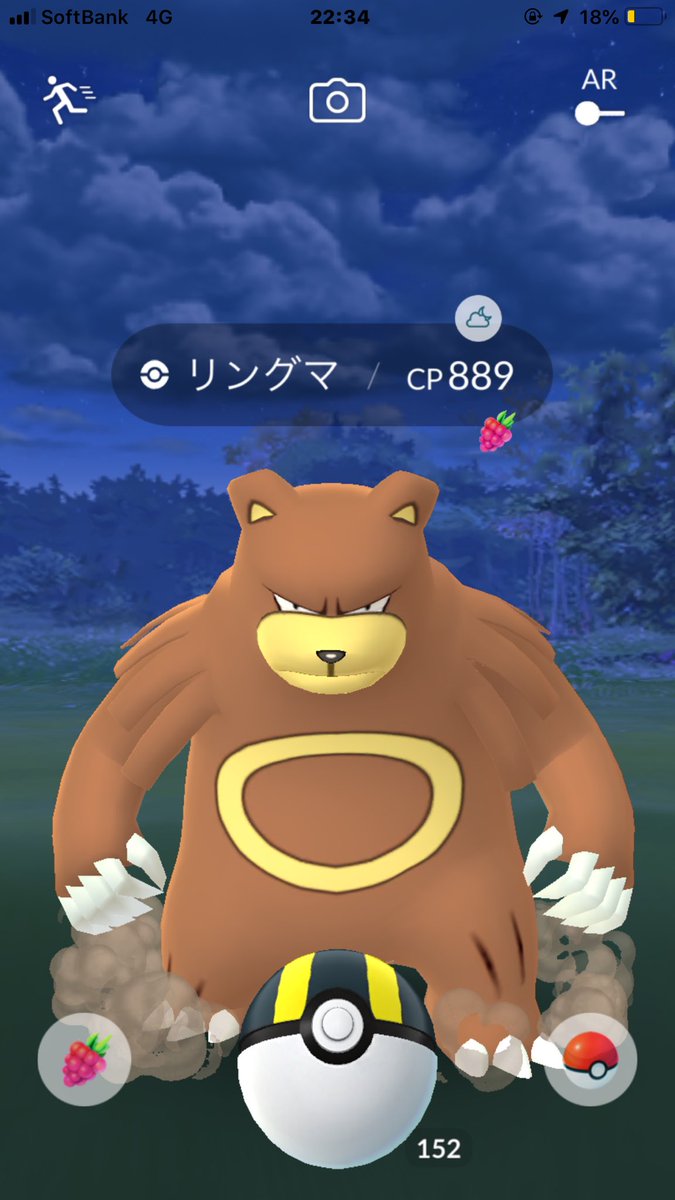 あい ポケモンgo垢 そういえば昨日の夜野生のリングマ見つけた 1年ぶりくらいかも 当たり判定すごい広くて近い ポケモンgo リングマ 大きい