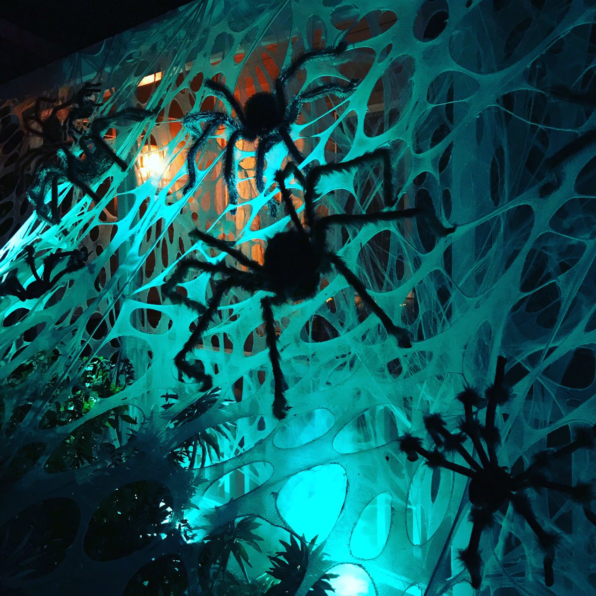 EvilVines's tweet photo. Spiders march across fog laced webs.
🕷🕸 #phobiafriday #spiderinvasion
#yardhaunt #makinghalloween #halloweenseason #napatrickortreat https://t.co/xHflxahYyD
