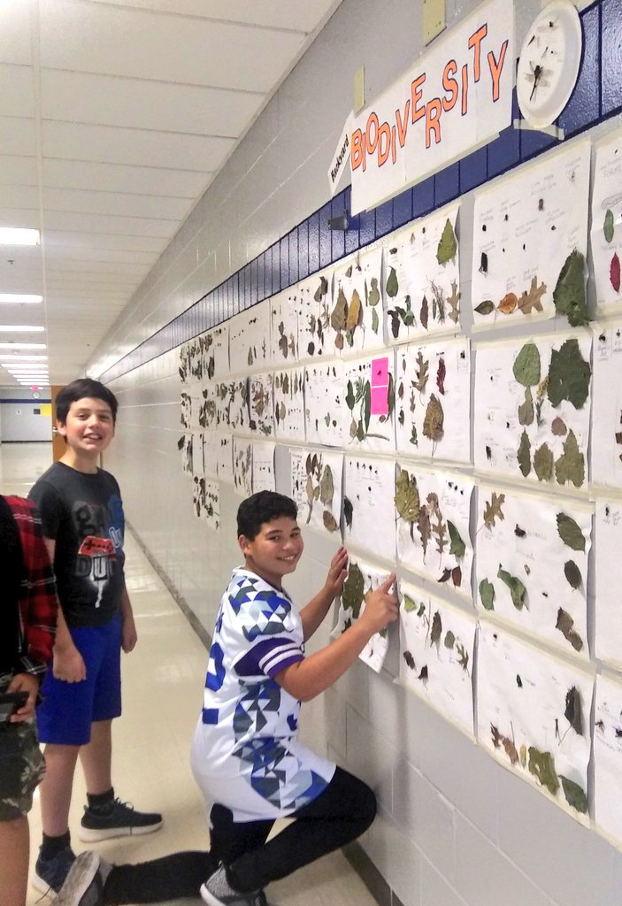 MrsG_SLP's tweet photo. After a busy week, these 7th gr scientists were excited to display their insect/leaf projects on backyard biodiversity &amp; collaborate in some serious https://t.co/Ju7qXCSl29 vocab review.  #SLPpantherProud @SLP_Schools @quizlet #scitlap #tlap #ditchbook #hivesummit https://t.co/gZpZTQK5xG