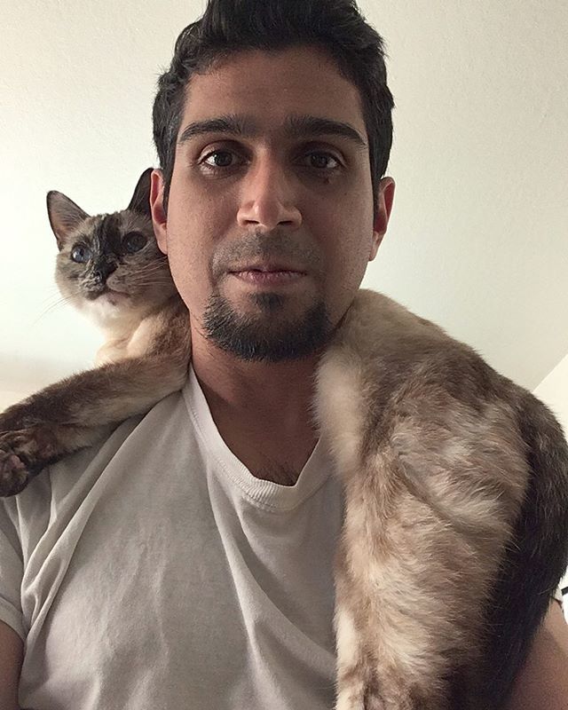 artrulesmyworld's tweet photo. I got a fur coat https://t.co/7ucatpL3TR https://t.co/UidWjRXR8D