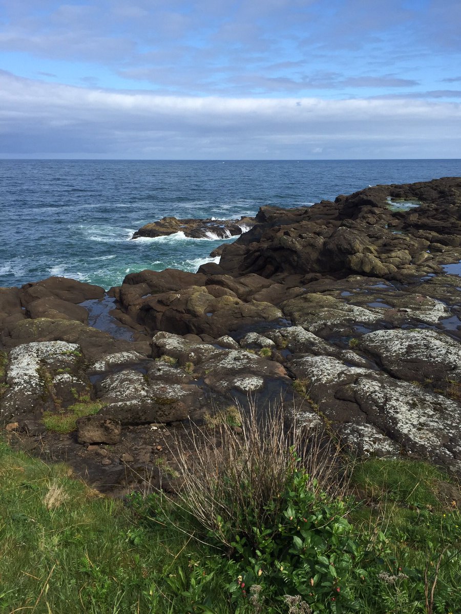 CorenaMcI's tweet photo. I miss Oregon. 📸:@CorenaMcI https://t.co/x5P6XteZQz