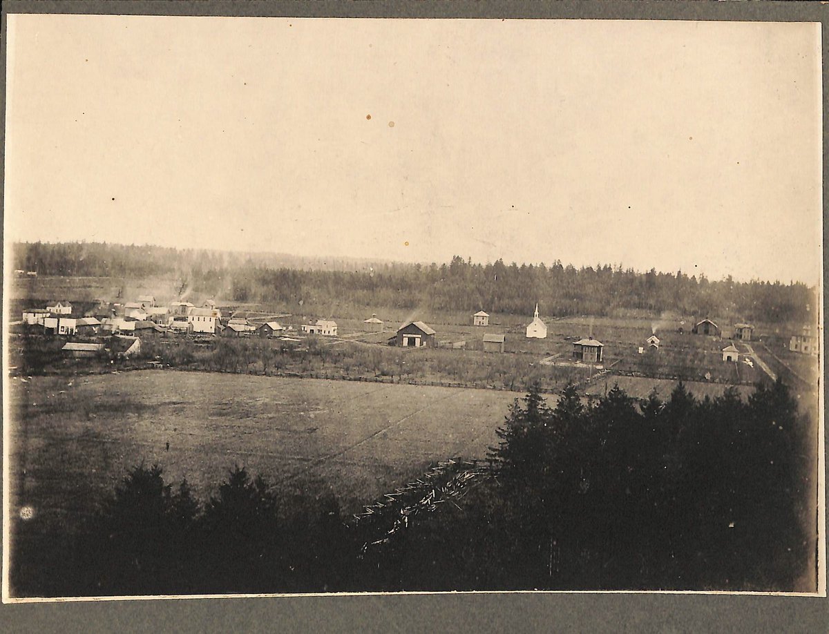 [1 of 2]: bit.ly/2wR1GRG One of the earliest known panoramas of Newberg, taken in 1887. 
"Panorama of Newberg" by George Fox Universi
