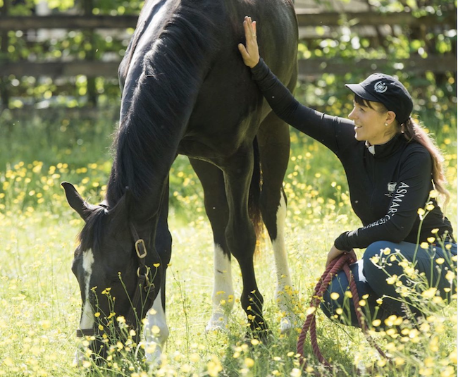 experiencelngly's tweet photo. Ever wondered what scent a horse likes to wear? Or questioned the sad-looking nature of kibble? Prepare to be inspired by the story of @equussoapco 🐕💚 https://t.co/ONmj3RZtrJ https://t.co/aijw5HZUs6