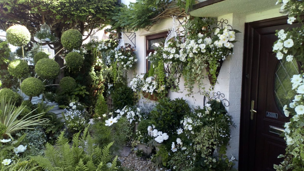 Usk in Bloom tweet media