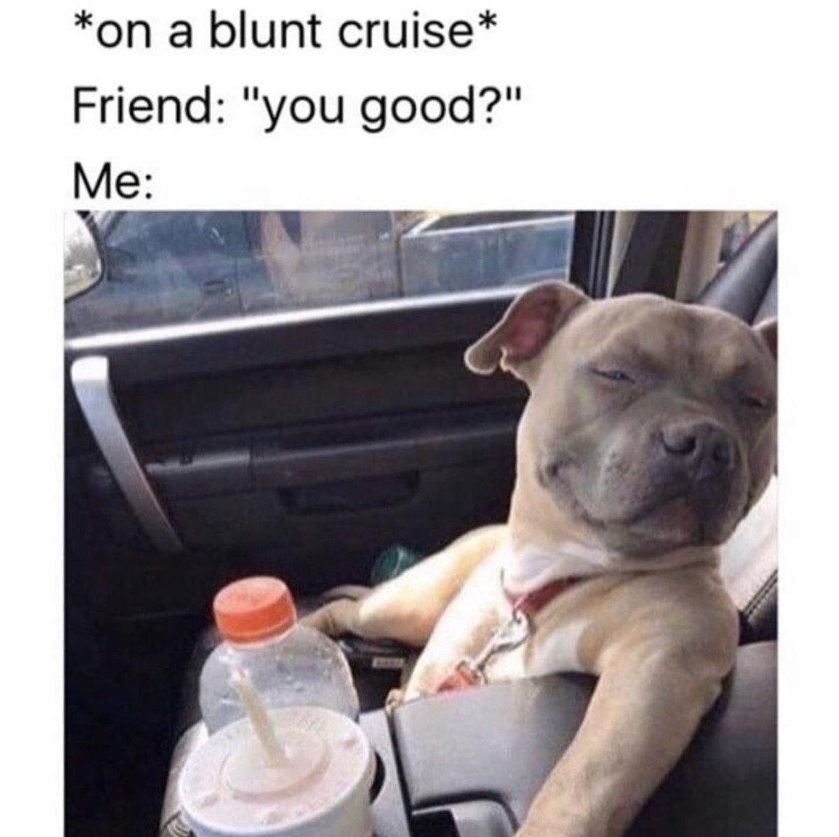 mary jane (@maryjane) on Twitter photo 