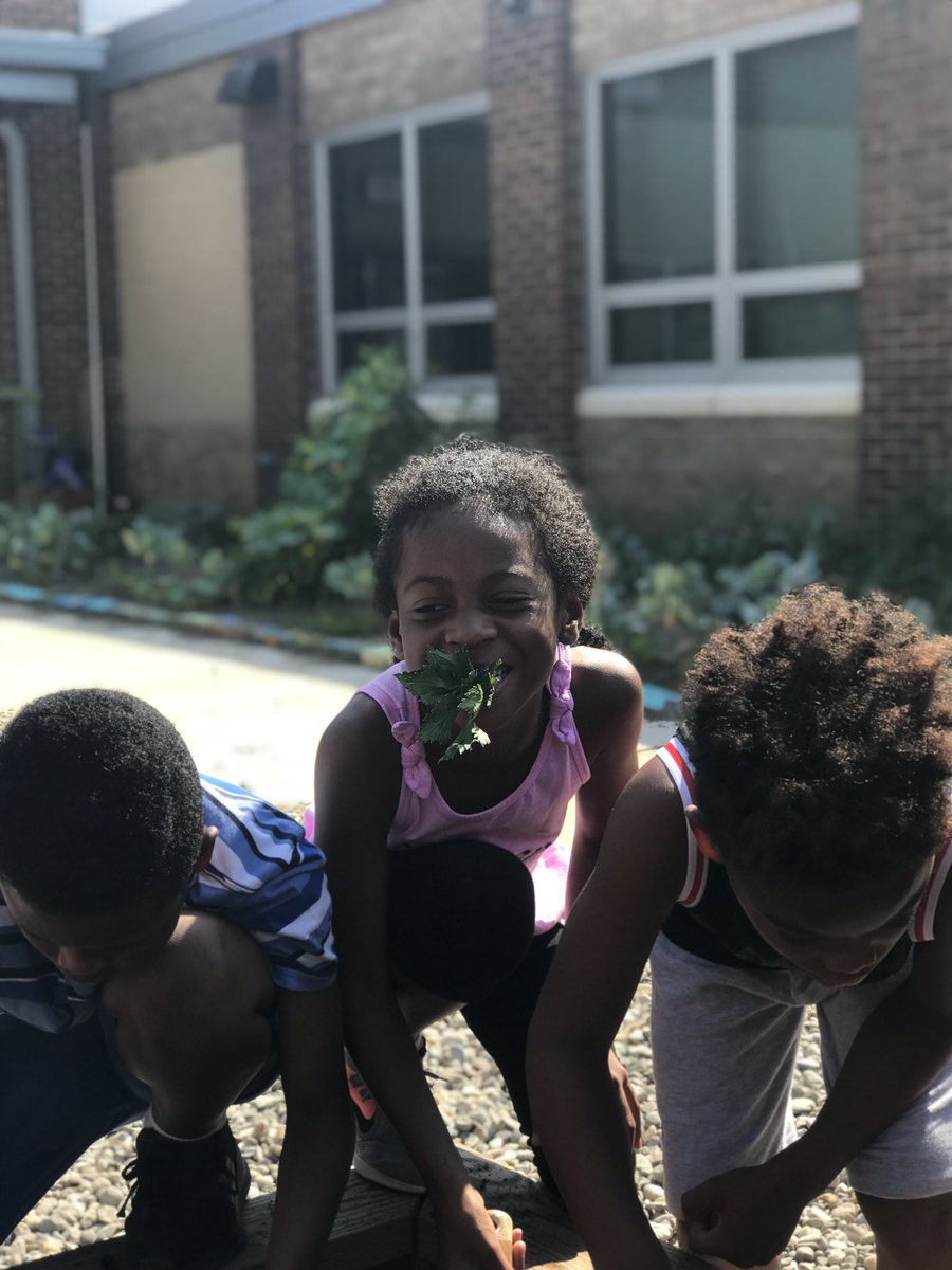 Hollin Meadows Garden tweet media