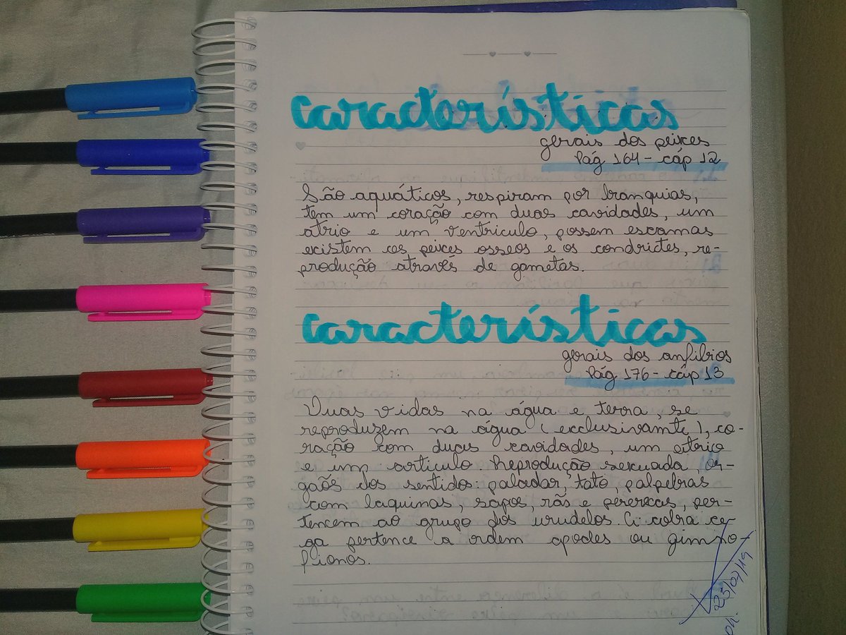 SMagic160's tweet image. 🐟Características gerais dos anfíbios e peixes🐟
•
•
•
#studymagic160#studygrambrasil#stabilomini#motivação#studygramph #studygramindonesia #studygramfollowtrain #studygramid #studygrammalaysia #studygramindo #studygrams #studygrampl #studygramcommunity 
•
•
•
Bjs🐟