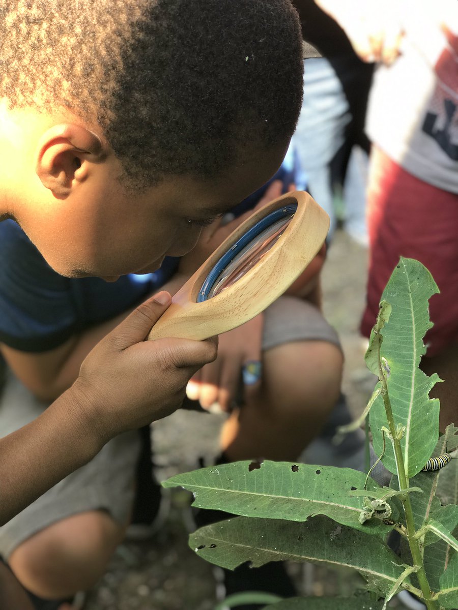 Hollin Meadows Garden tweet media