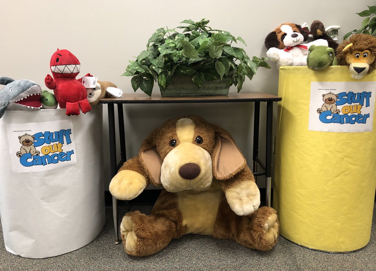 sunshinescardi's tweet photo. Way To Go KMS Cougars... Keep it up! Let’s STUFF OUT CANCER!🧸 @HumbleISD_KMS #stuffoutcancer #KMSCougarPride https://t.co/22cUjUh7Aa