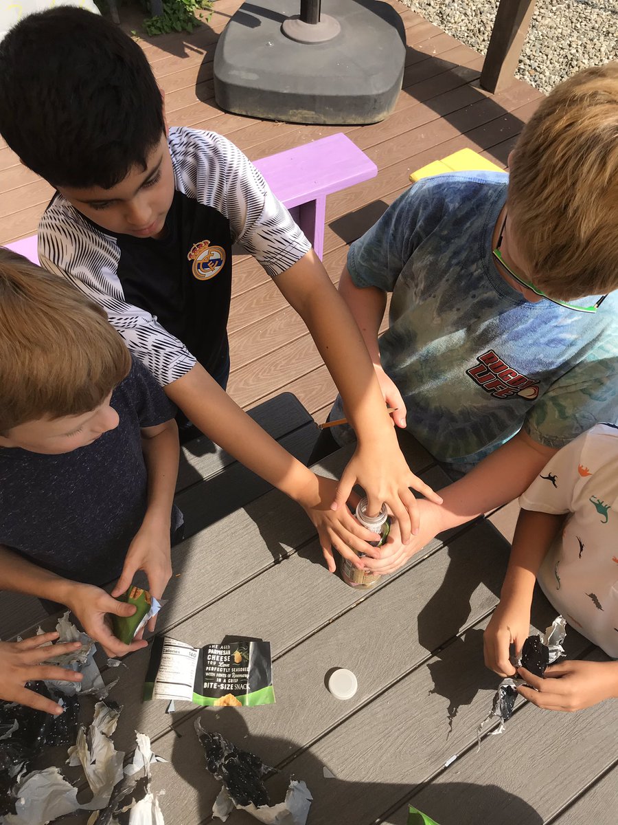 Hollin Meadows Garden tweet media