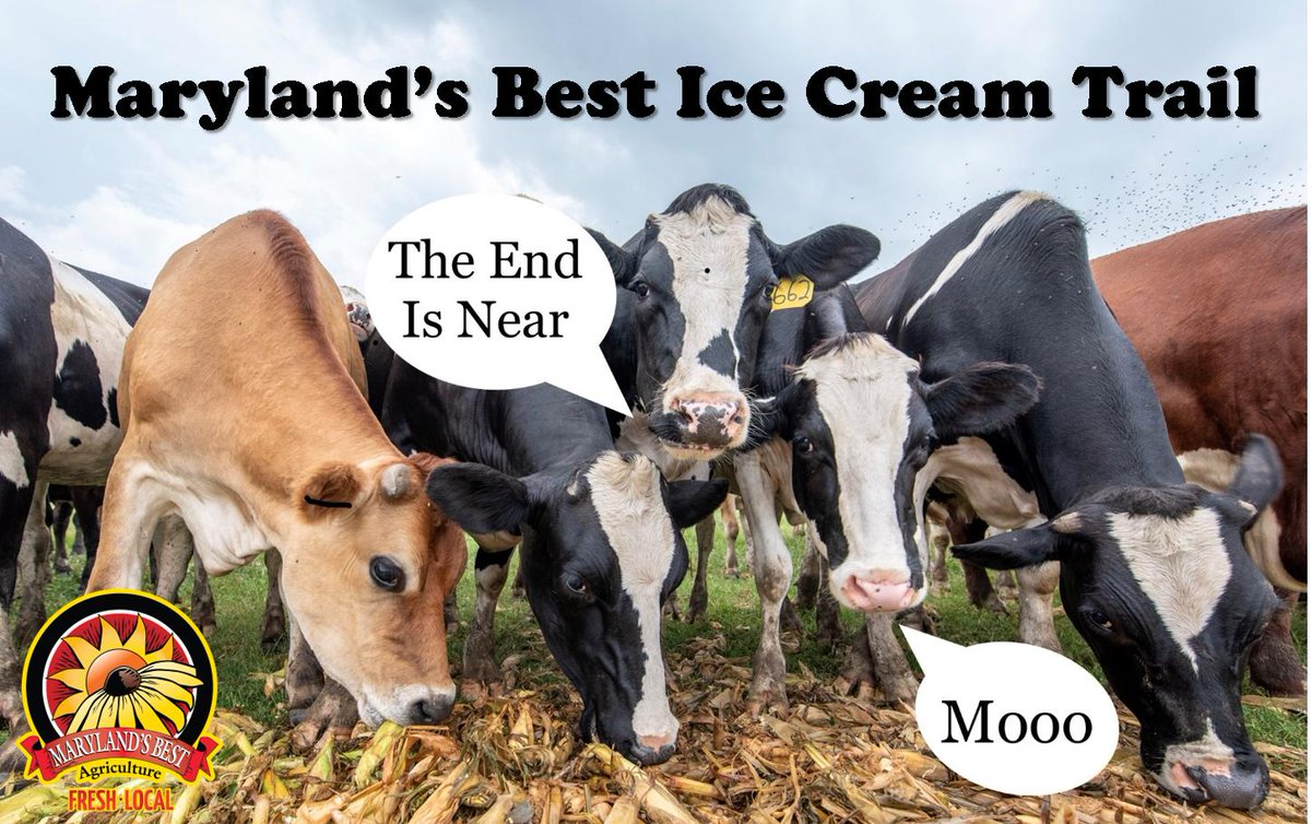 Maryland's Best tweet media