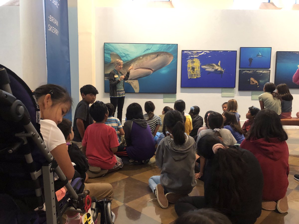 SpedMsSomoza's tweet photo. We are so excited to spend time with our fifth grade buddies this year! They are joining us for STEM, sensory projects, library and even field trips! @ErinRangel15 @WoodcrestFSD #WCwildcatpride #inclusion #SpecialEducation https://t.co/Vg2GlZJWCd