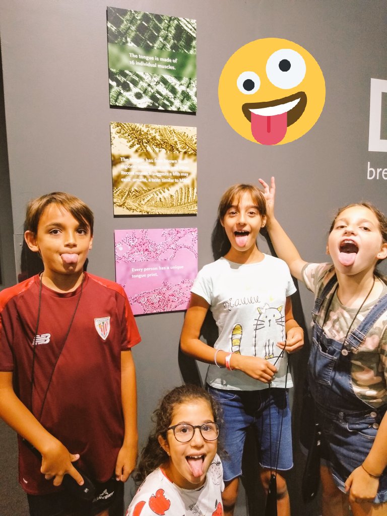 KatieSadaphal's tweet photo. Another fantastic visit to The Bodies Exhibit Atlanta. Bringing our inquiry to life๐งโ ๏ธ๐ @AISLearns @JamesPHodgkins #PYP #learningisfun #learningintherealworld https://t.co/NDBPDFbRG7