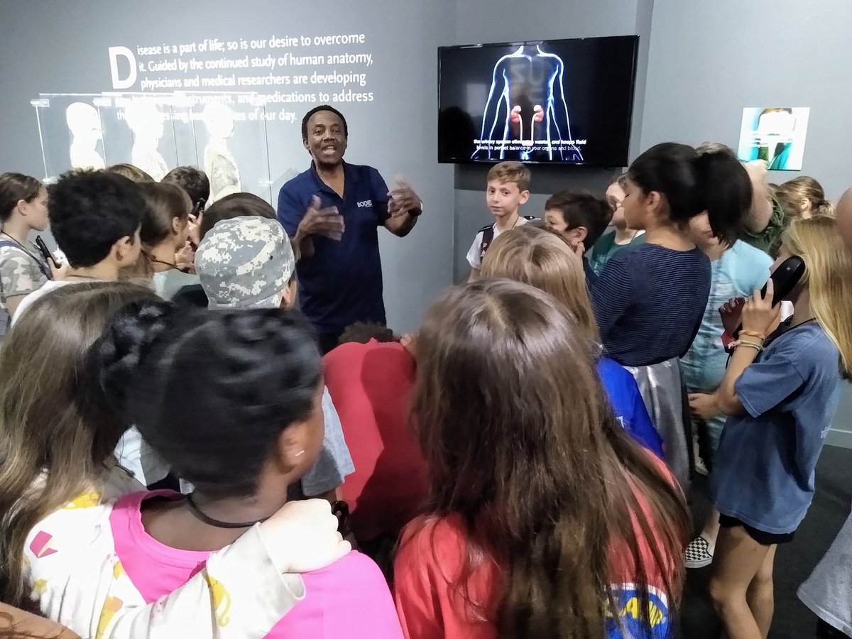 AISLearns's tweet photo. Another fantastic visit to The Bodies Exhibit Atlanta. Bringing our inquiry to life๐งโ ๏ธ๐ @JamesPHodgkins #PYP #learningisfun #learningintherealworld via @KatieSadaphal https://t.co/qt1zEYnMIn