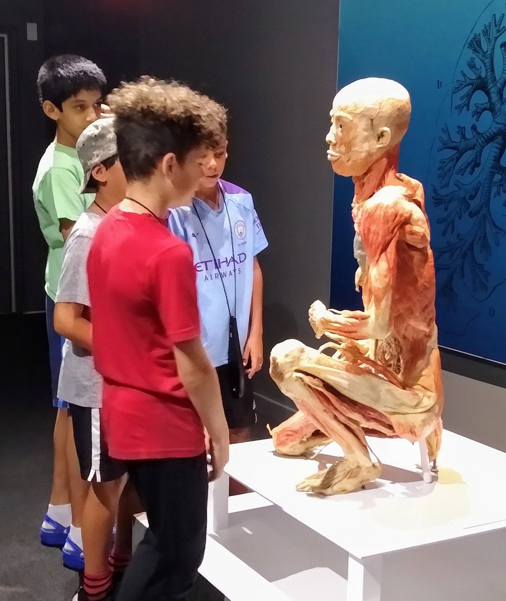 AISLearns's tweet photo. Another fantastic visit to The Bodies Exhibit Atlanta. Bringing our inquiry to life๐งโ ๏ธ๐ @JamesPHodgkins #PYP #learningisfun #learningintherealworld via @KatieSadaphal https://t.co/qt1zEYnMIn
