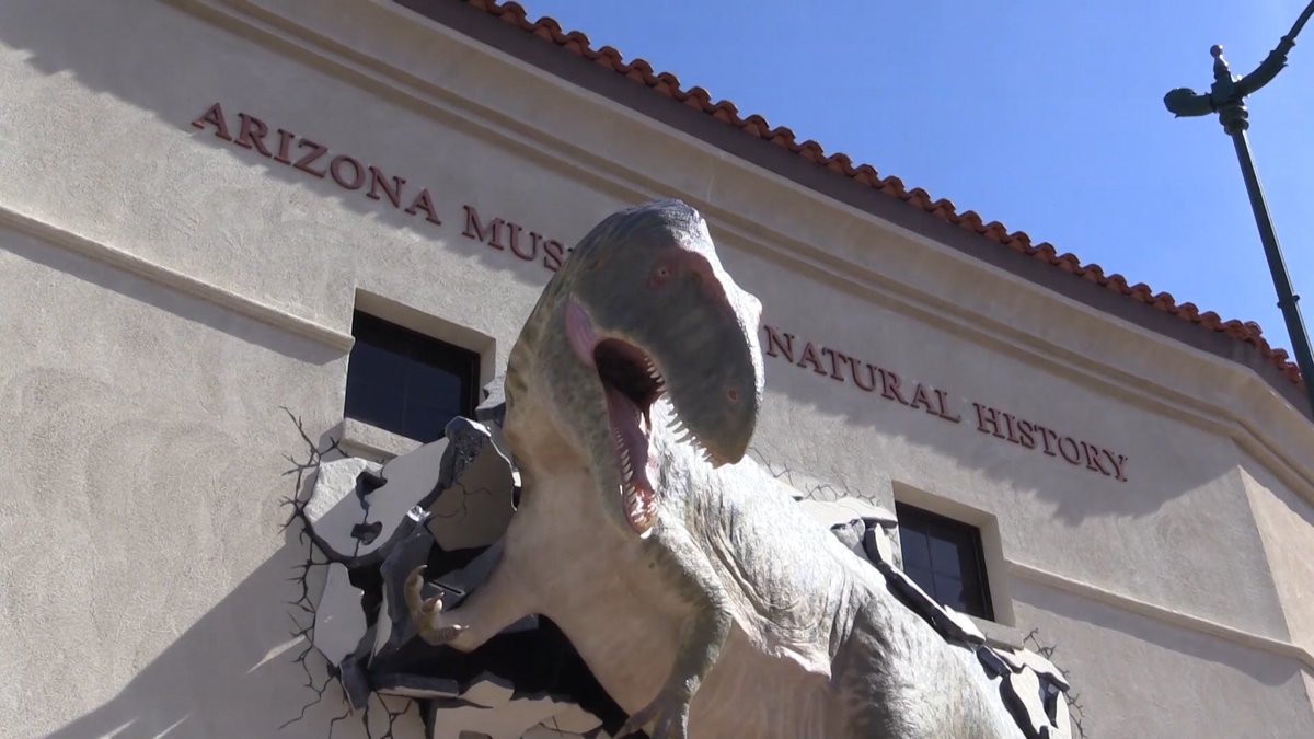 ZavalaTV's tweet photo. Es, para mí, uno de los mejores museos de nuestro estado y no es tan conocido como otros. Se trata del Museo de Historia Natural de Arizona ubicado en la ciudad de Mesa. Hoy a las 5 en #ExplorandoAz te llevamos a conocerlo @AzMNH @UnivisionAZ https://t.co/TaFbhdsU0A