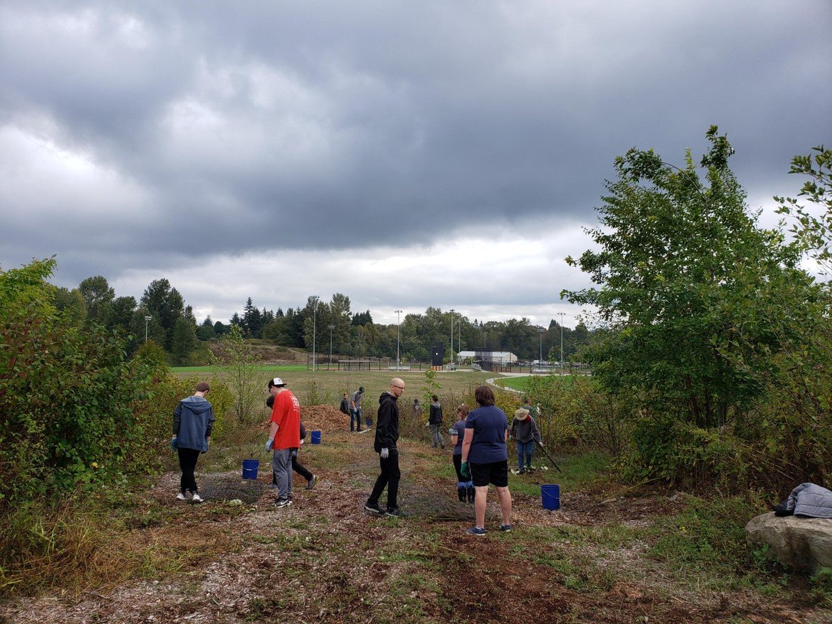 WACampusCompact's tweet image. Washington Campus Compact College Access Corps AmeriCorps members joined forces on Wednesday, September 11, for National Day of Service at Squalicum Creek Park to remove invasive plant species.