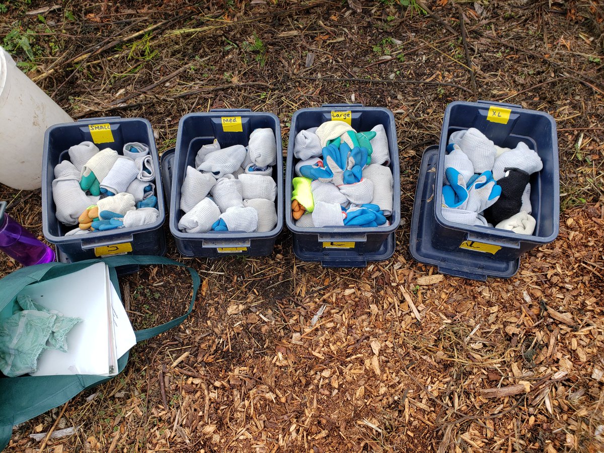 WACampusCompact's tweet image. Washington Campus Compact College Access Corps AmeriCorps members joined forces on Wednesday, September 11, for National Day of Service at Squalicum Creek Park to remove invasive plant species.