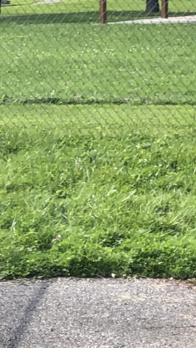 dashforstash's tweet image. If it’s not here then it’s been found already 😒😔