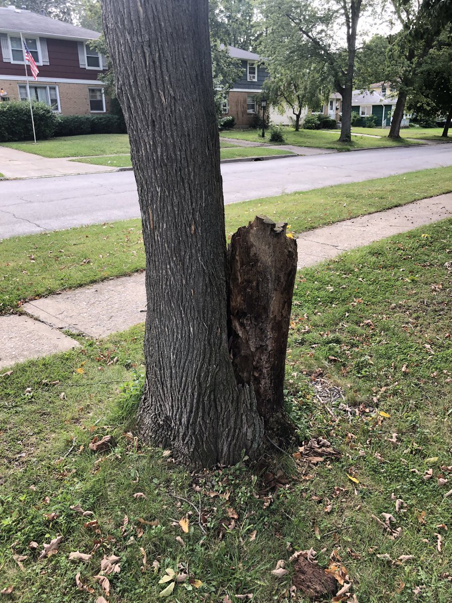 dashforstash's tweet image. Congrats to all the winners! These were the locations