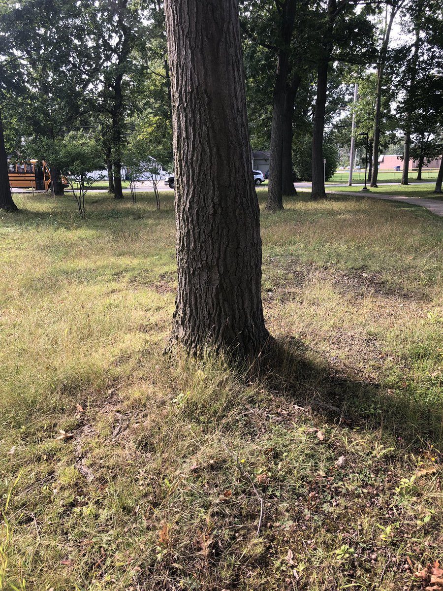 dashforstash's tweet image. Congrats to all the winners! These were the locations