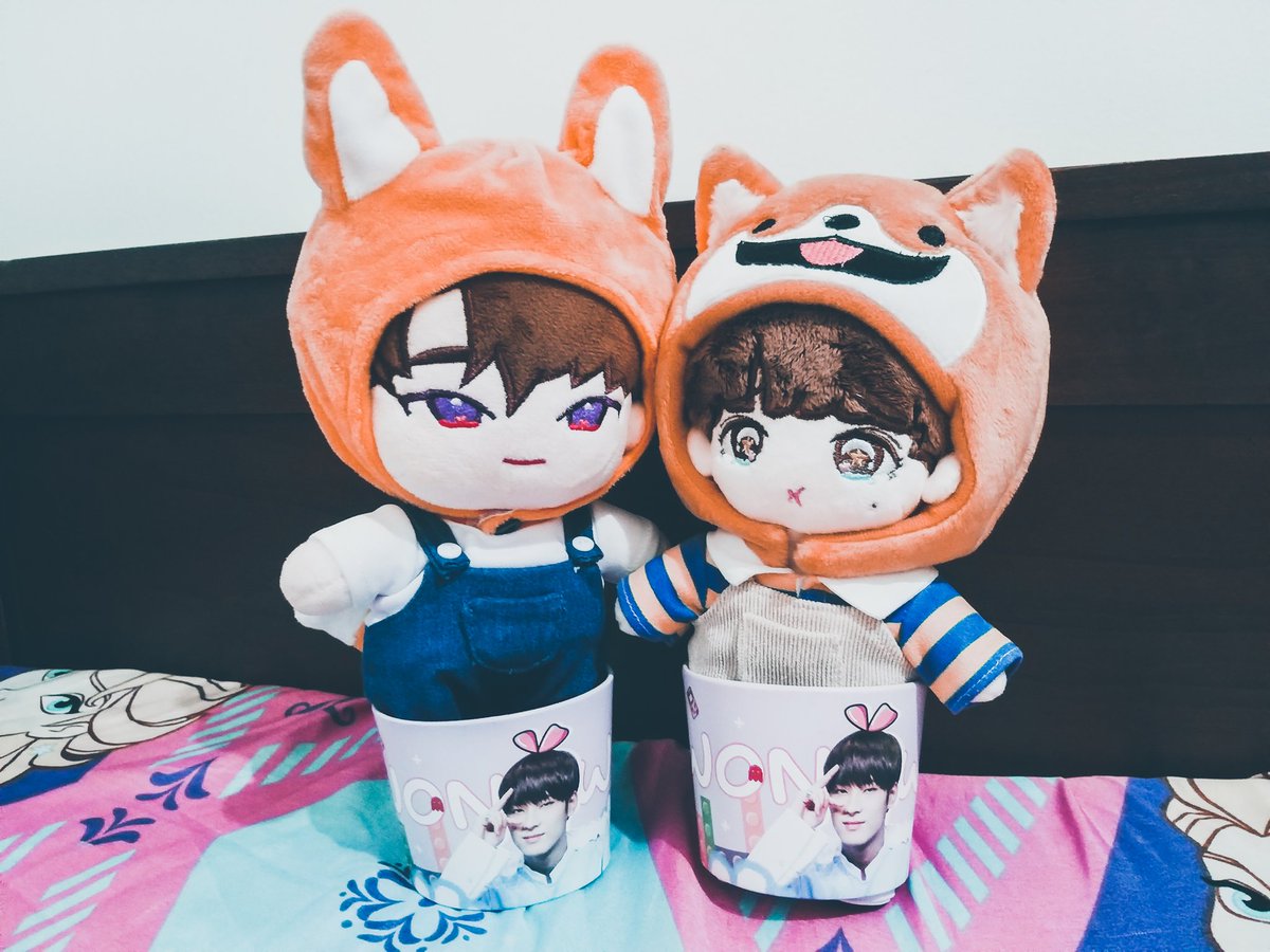 minwonheart's tweet photo. Good morning ready to go home ☺️ #woncat #babymin https://t.co/Wbj3FASRJx