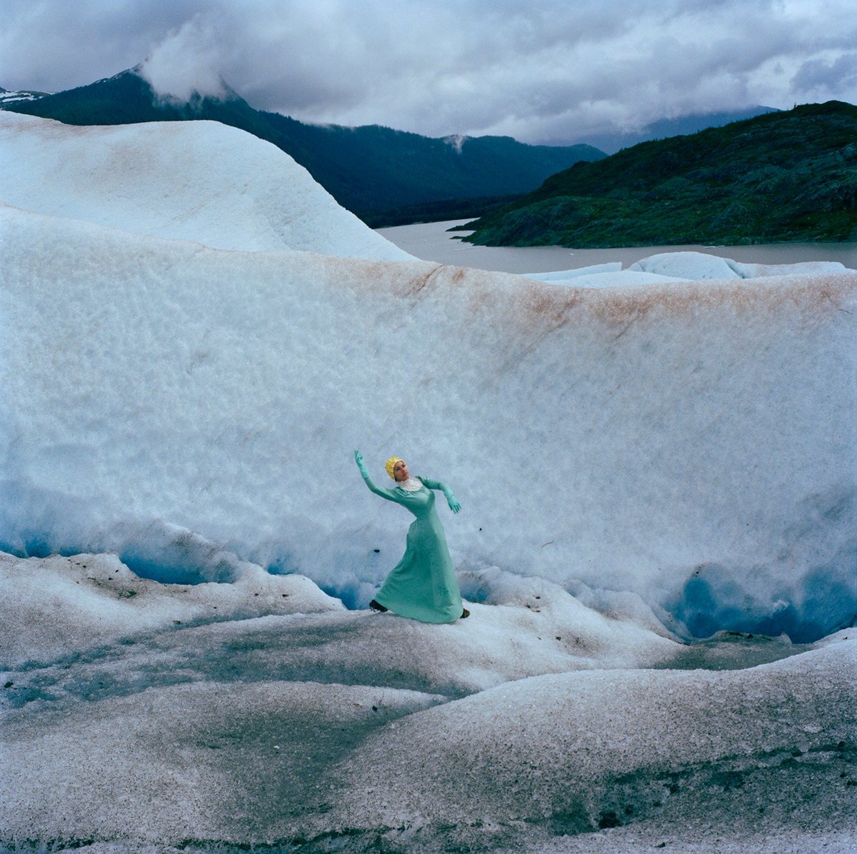 SVA BFA Photography tweet media