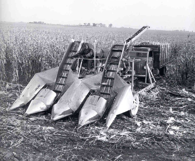 fama_il's tweet photo. Something you guys may not know is my family used to grow seed corn back in the 60s. My uncle Eddy built this 4 row picker out of 2 New Idea uni-pickers when he was 14 years old. All of the tinwork was hand braised and looked factory. https://t.co/mZ9T2y8A6H