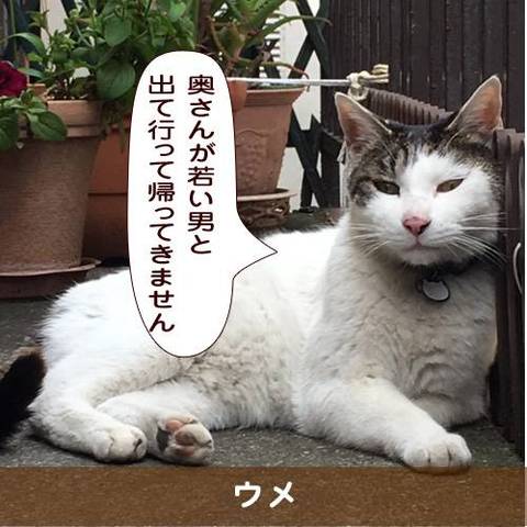 Nekopunch Tvさんのイラストまとめ Nekopunch Tvさんのイラストまとめ
