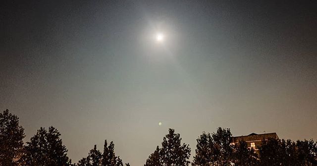 stefano_bonelli's tweet photo. Senza cielo Torino stasera....
THE HARVEST MOON 🌕

#fullmoon #sky #noclouds #harvestmoon #friday13th #september #summer #photo #nature #torinolanotte #WithGalaxy https://t.co/LZZdf77j1S https://t.co/frwUeJ1hKZ