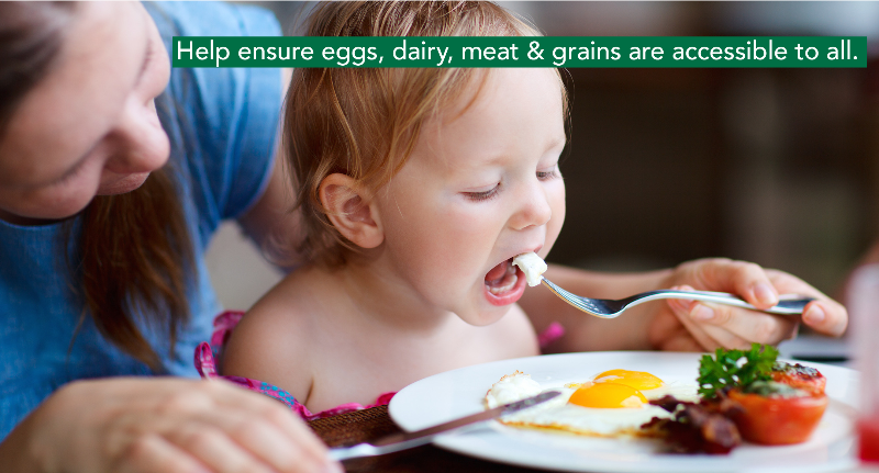 CAFoodBanks's tweet photo. Exciting week in the #CALeg. Read our blog post detailing #AB614 (@AsmSusanEggman) and #AB1377 (@BuffyWicks) & ask @CAgovernor @GavinNewsom to sign these important anti-hunger bills! Everyone deserves access to the food they need to thrive. https://t.co/mB7qnM0cAF #ChooseCalFresh https://t.co/zAAOuk0ZSj