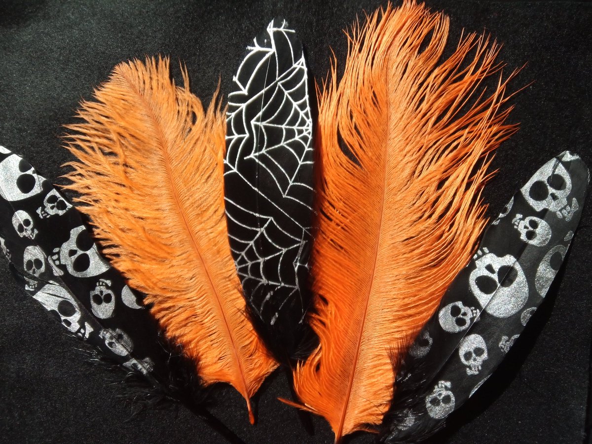 Halloween Feather Mix
#feathers #Halloween #halloween2019 #spiderweb #skull