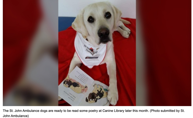 "For One Afternoon This Weekend, Vancouver Library Patrons Can Borrow a Very Different Kind of Library Material: A Dog." (via CBC)  ow.ly/Qn8h30pwYfi  &amp; "You Can 'Check Out' a Dog at This Upcoming Vancouver Library Event" (via CTV) ow.ly/HI7H30pwYfc