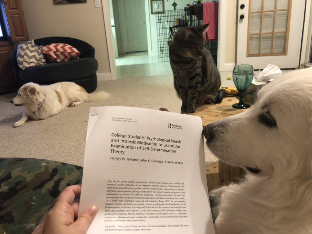 drjadegeary's tweet image. Elo and Chris are studying calc and I have some light reading to do. Very glad I am not helping with the calc and that I have all this fluffy help.🤣 #docstudent #cohortwhyfi #edtechuofsc