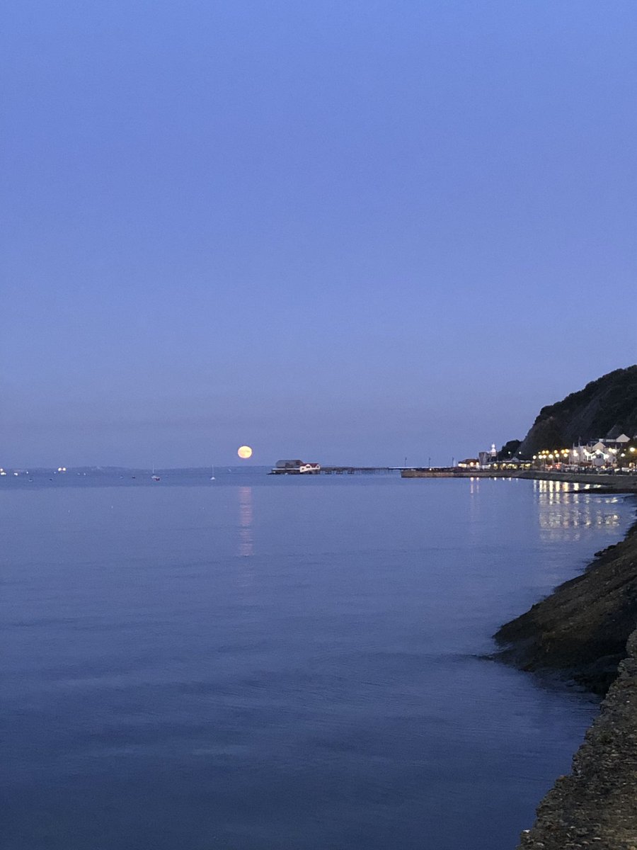 Visit Mumbles tweet media
