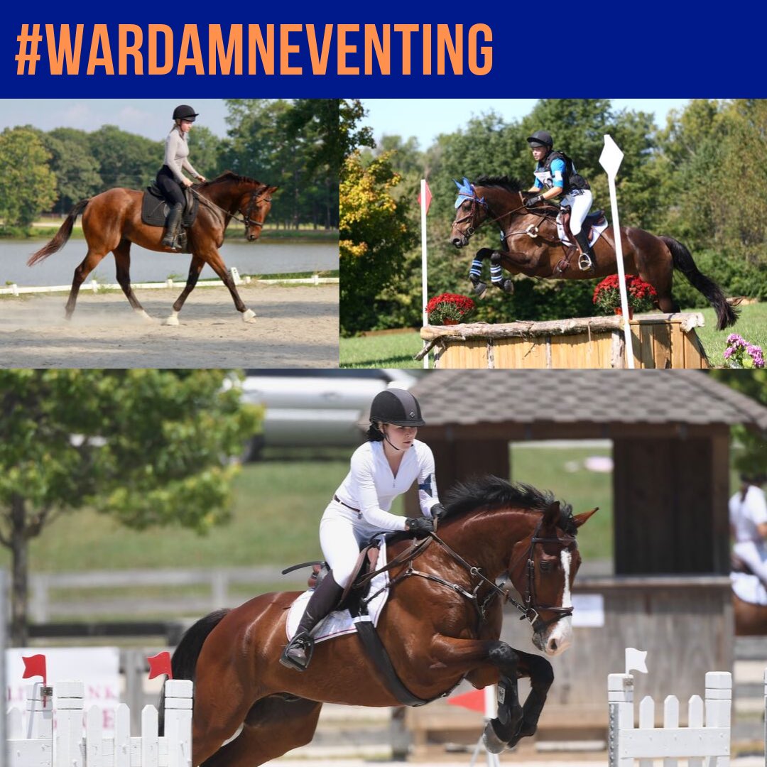 Good luck to our girls Meredith, Dorothy, and Hanna competing at Poplar this weekend! #wardamneventing