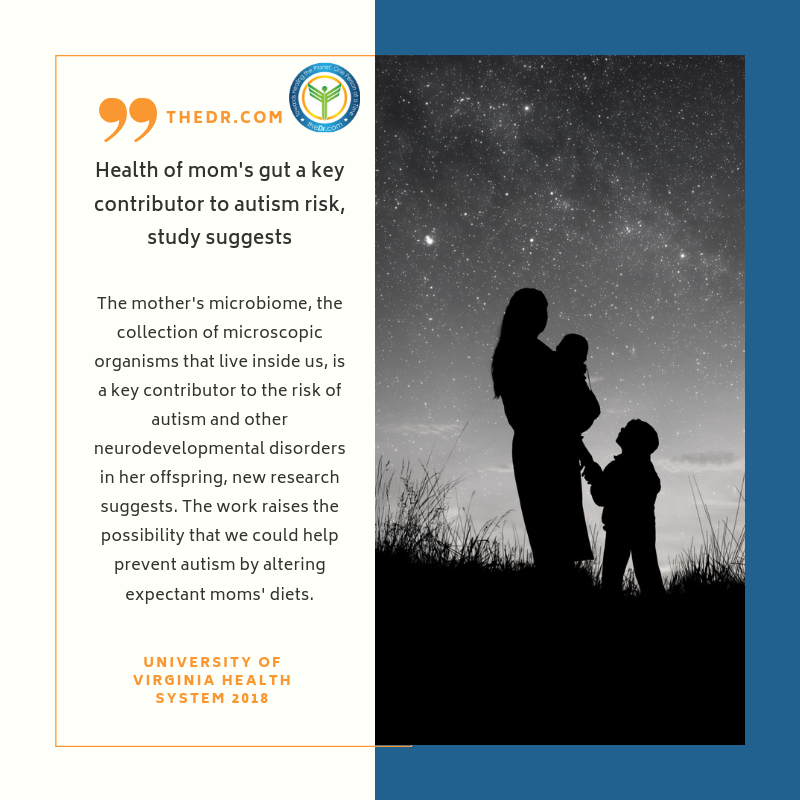 theDr_com's tweet image. What an incredible discovery about Autism!
#autism #guthealth #mothershealth