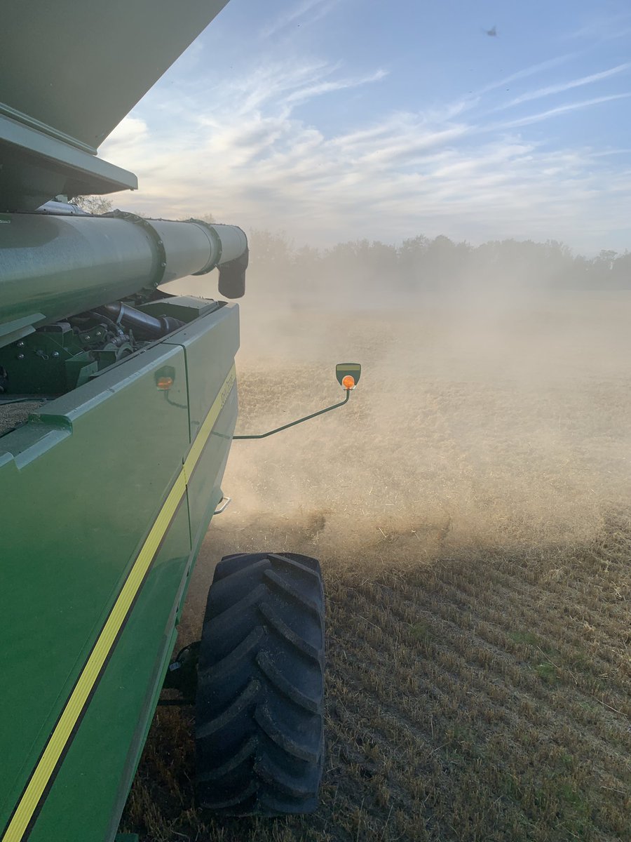 Dust???? What the hell is that????