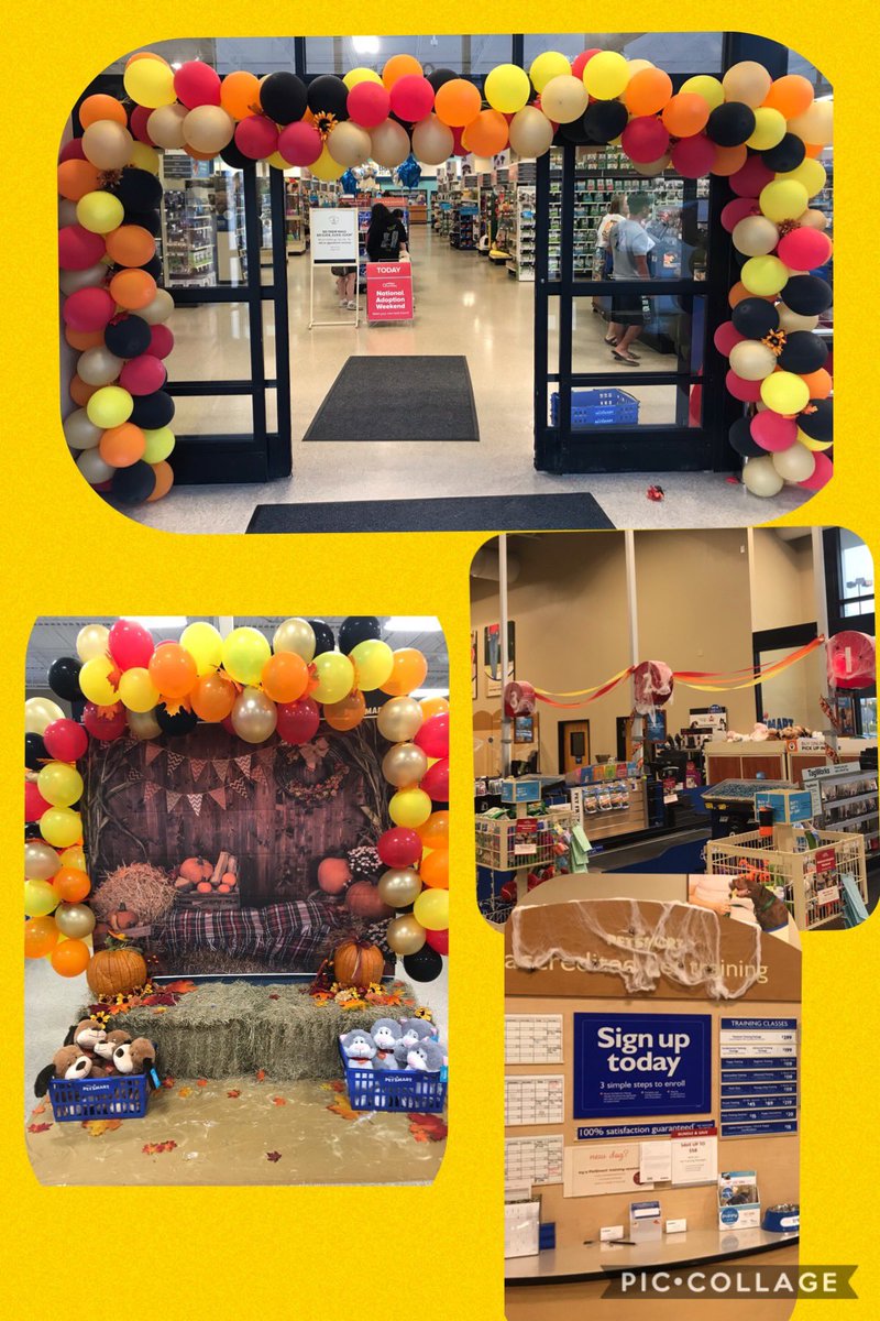 Petsmart 1642 tweet media