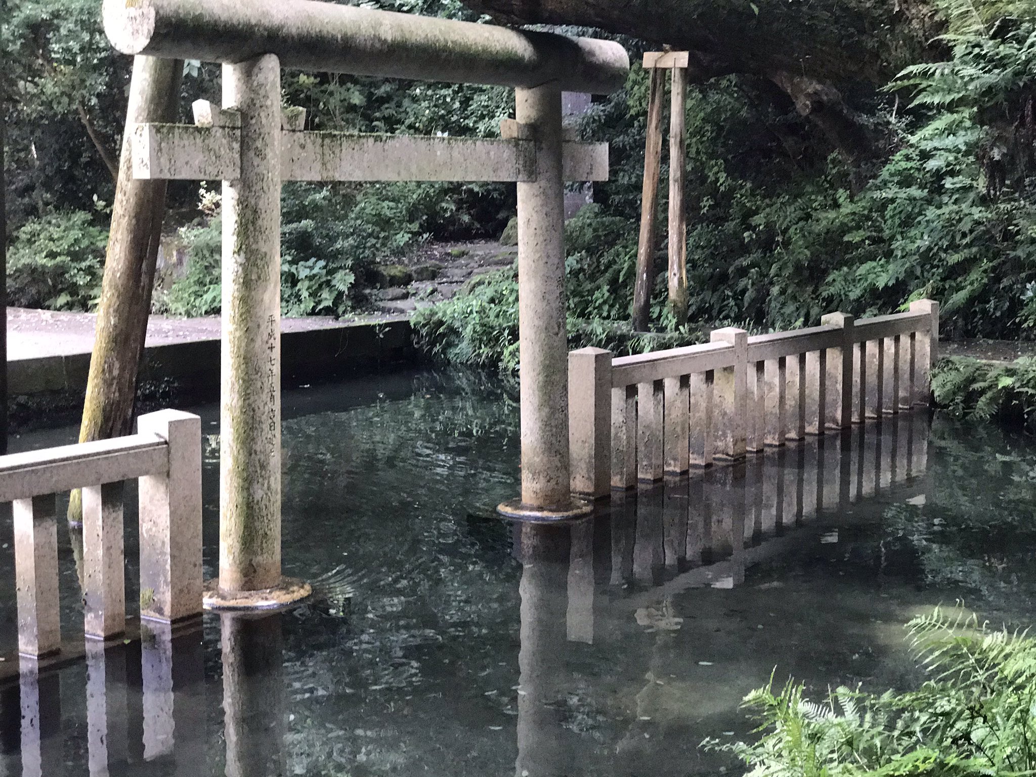 石井孝明 Ishii Takaaki 鹿島神宮の潔斎用の池ですがイスラエルのユダヤ教の遺跡で見たものとそっくりで驚きました鳥居以外