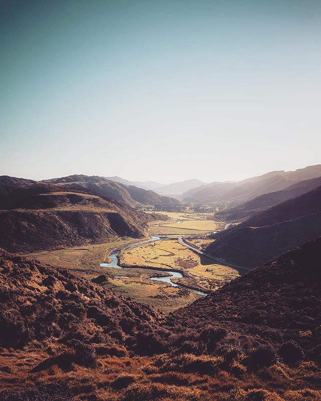 ben_walker tweet media