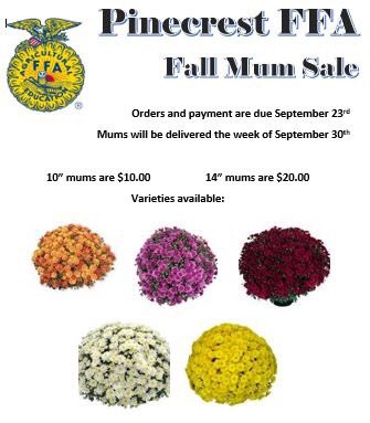 MooreSchoolsCTE (@cte_moore) on Twitter photo Time for Fall Mums! Payments must be made by Monday 9/23/19; mums will be delivered the next week. When ordering, list colors and sizes; email smanies@ncmcs.org to place an order. Thank you so much for your support! <a href="/Pinecrest_FFA/">Pinecrest FFA</a> <a href="/Pinecrest_CTE/">Pinecrest_CTE</a> <a href="/Pinecrest_MCS/">Pinecrest High, NC</a> Time for Fall Mums! Payments must be made by Monday 9/23/19; mums will be delivered the next week. When ordering, list colors and sizes; email smanies@ncmcs.org to place an order. Thank you so much for your support! <a href="/Pinecrest_FFA/">Pinecrest FFA</a> <a href="/Pinecrest_CTE/">Pinecrest_CTE</a> <a href="/Pinecrest_MCS/">Pinecrest High, NC</a>