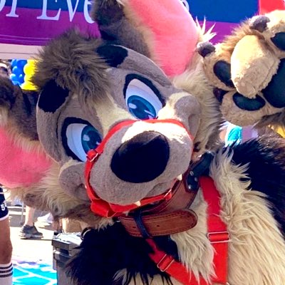 AardwolfEssex tweet picture