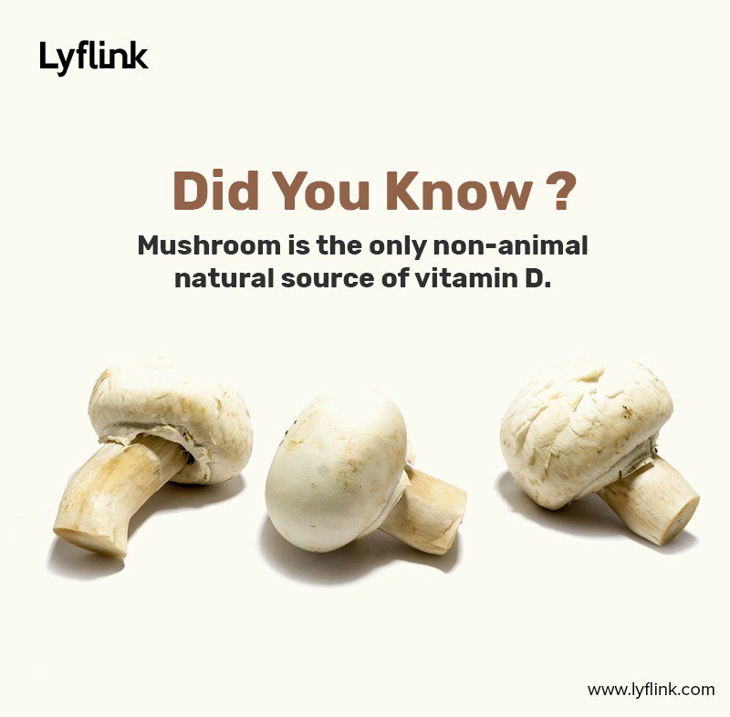 LyfLink's tweet photo. "Vegan? Body needs Vitamin-D?...No worries, Eat Mushrooms.
-
Download #LyflinkApp- https://t.co/njXzh2mxNd and get the best doctors consultation.
-
#Lyflink #healthawareness #Digitalhealth #eHealth #health
#Healthcare #4Patients #Playstore #HappySeptember #StayFit #HealthyLife https://t.co/7uj7xX2kwv