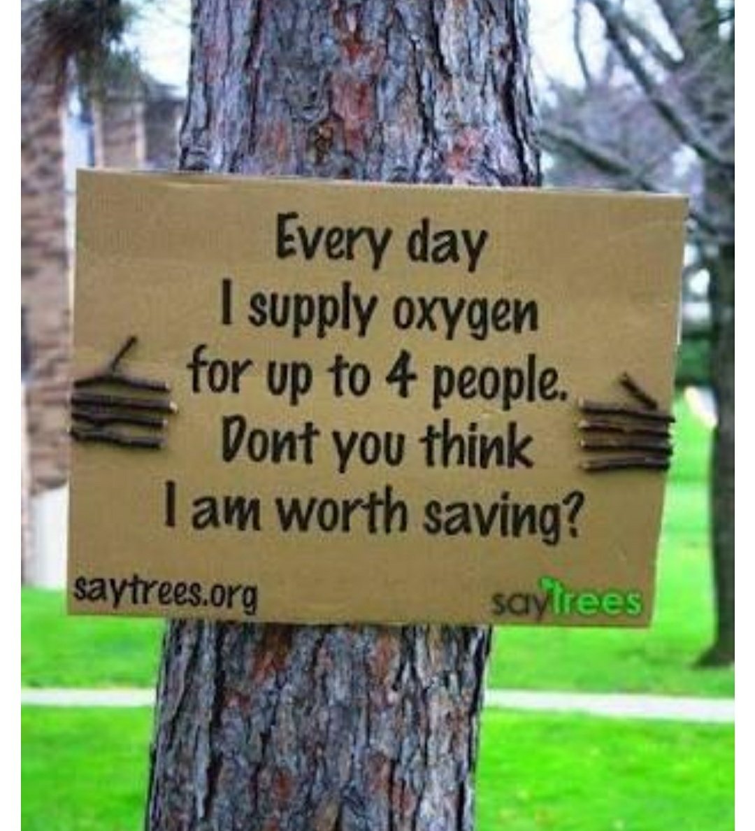 Charanck9's tweet photo. #savenallamalaforest #StopUraniumMining 
"Trees ON Global warming GONE"
"If you love to breathe...Save the trees
The forests are the lungs of world ...
#GoGreen 
#saveTrees https://t.co/OpYWh2MABG